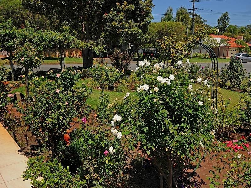 2 Kinross Crescent, Floreat WA 6014