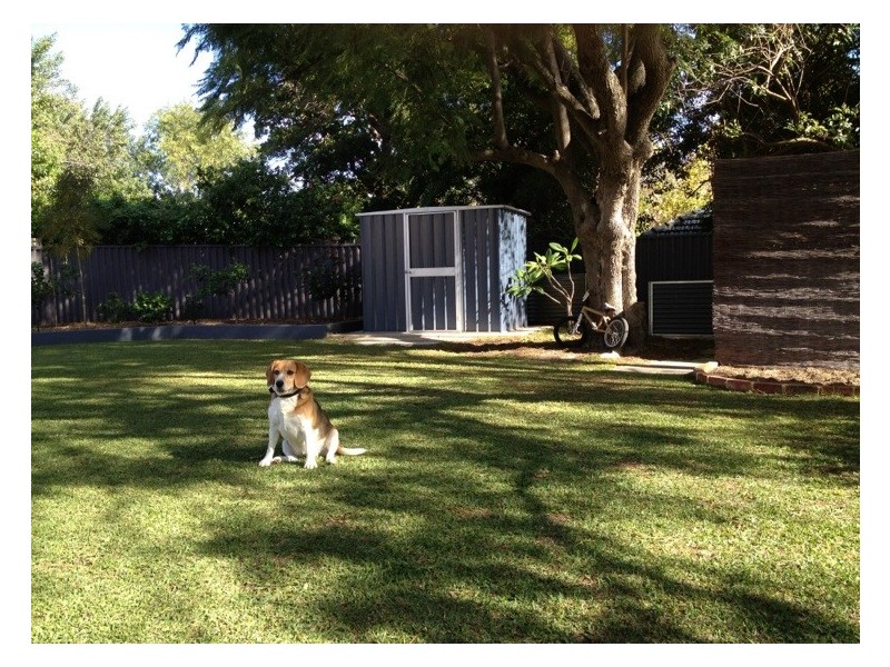 125 Grovedale Road, Floreat WA 6014