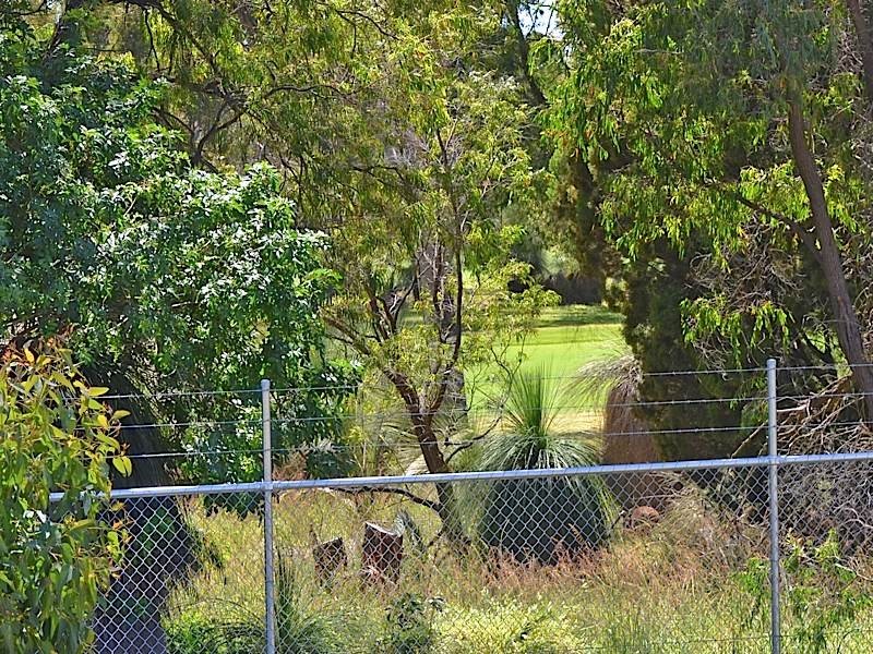 A/97 Pascoe Street, Karrinyup WA 6018