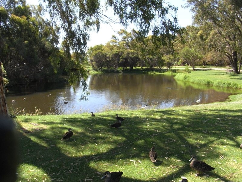 2/56 Moondine Drive, Wembley WA 6014