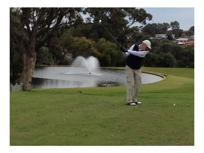 28 Alyth Road, Floreat WA 6014