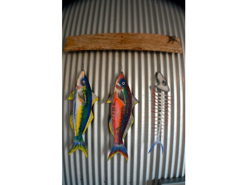 6 Francis Close, Kalbarri WA 6536