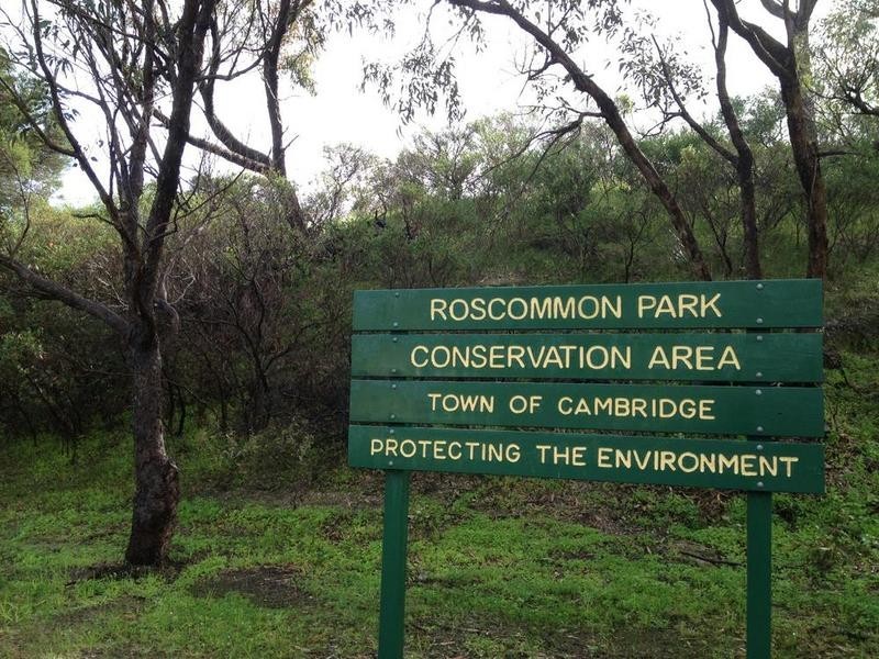 41 Roscommon Road, Floreat WA 6014