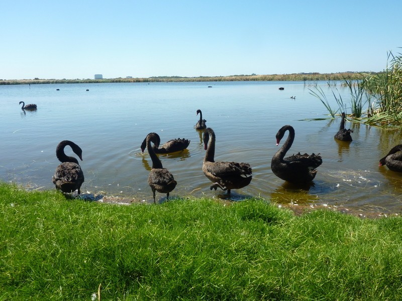 29/4 Waterway Court, Churchlands WA 6018