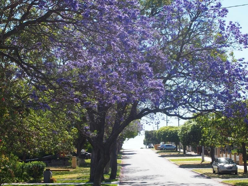 22A Alderbury Street, Floreat WA 6014