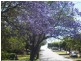 A/100 Lissadell Street, Floreat WA 6014