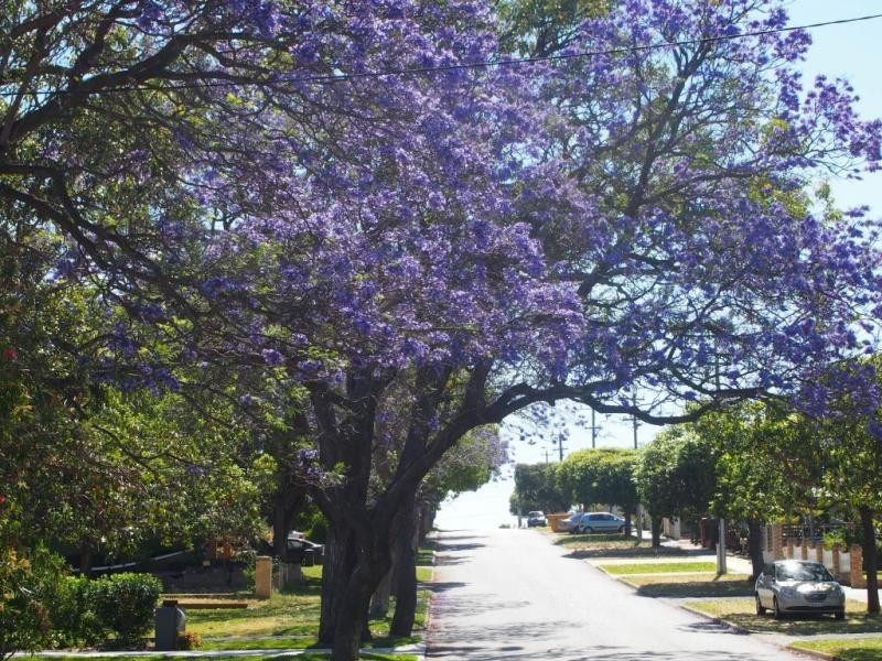 A/100 Lissadell Street, Floreat WA 6014