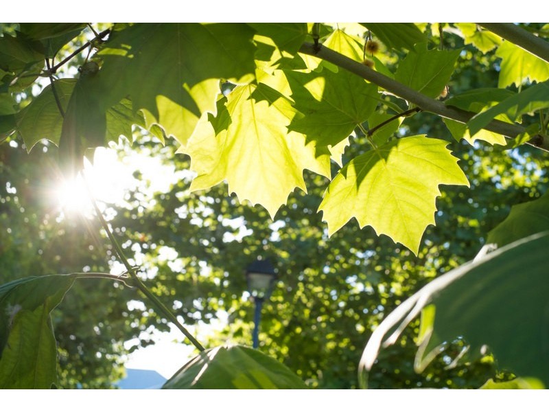 5 Hammond Road, Claremont WA 6010