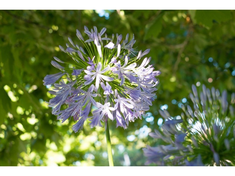 5 Hammond Road, Claremont WA 6010