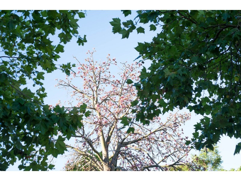 5 Hammond Road, Claremont WA 6010