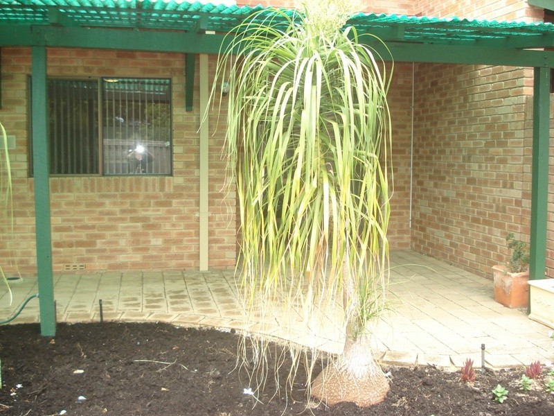 2/97 South Terrace, Como WA 6152