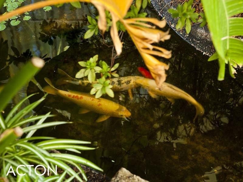 5/19 Karoo Street, South Perth WA 6151