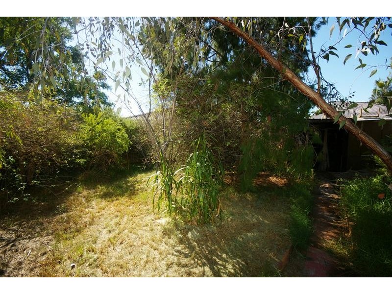 60 Crawshaw Crescent, Manning WA 6152