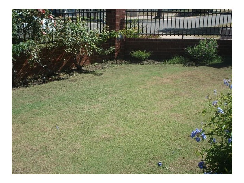 28 Rathay Street, Victoria Park WA 6100