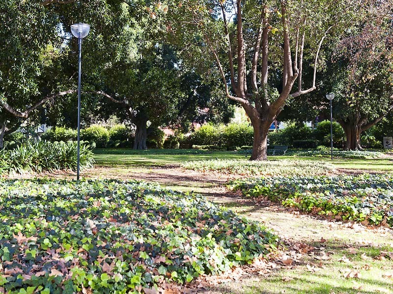 15/36 Smith Street, Highgate WA 6003