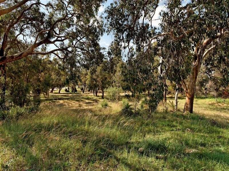 15 Capulet Street, Coolbellup WA 6163