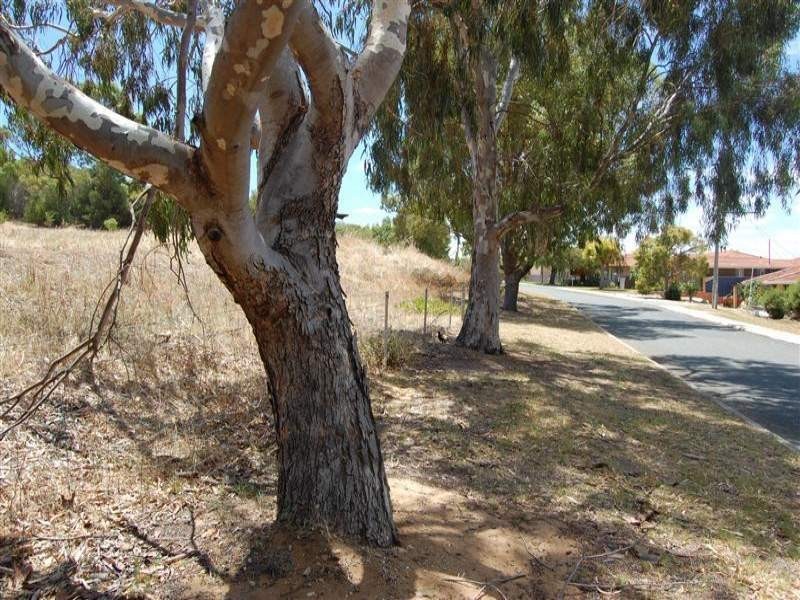 28A Southend Road, Hamilton Hill WA 6163