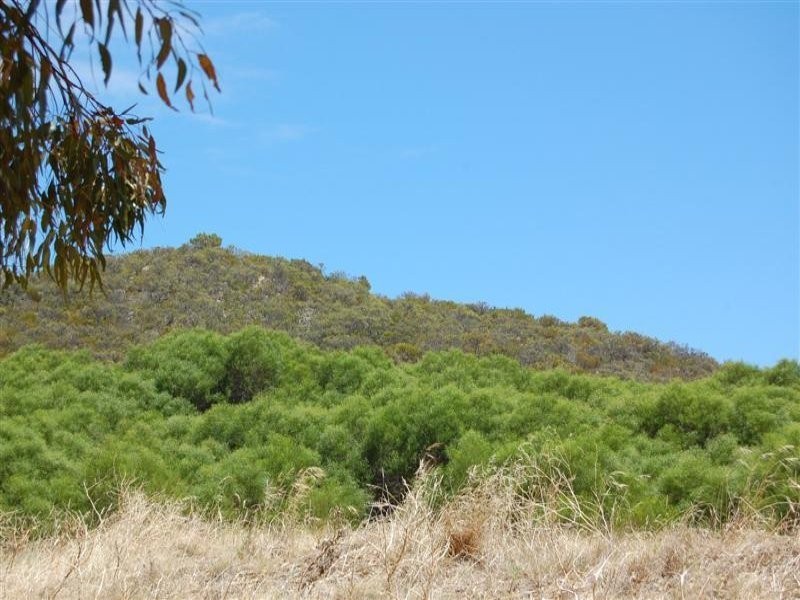 28A Southend Road, Hamilton Hill WA 6163