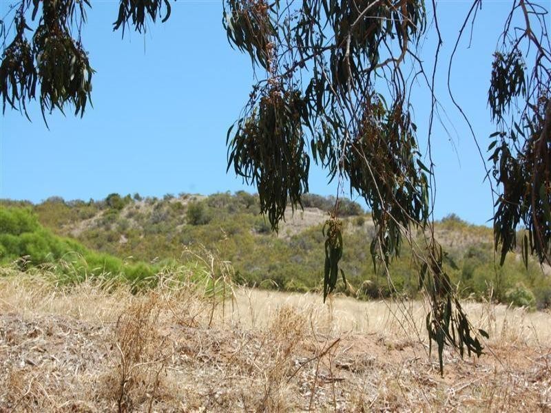 28A Southend Road, Hamilton Hill WA 6163