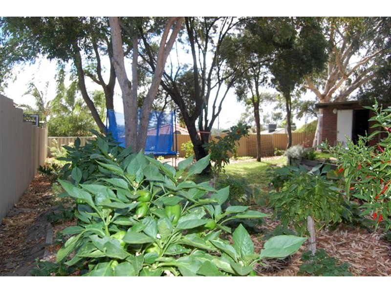 10 Tuart Place, Yangebup WA 6164