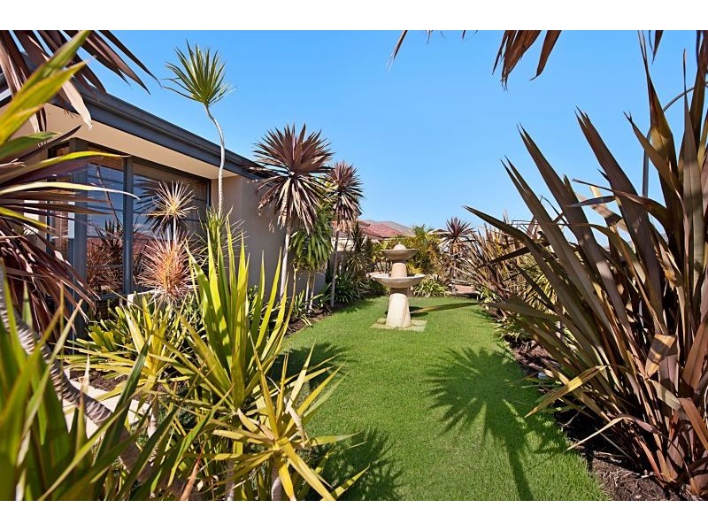 6 Wombat Way, Beeliar WA 6164