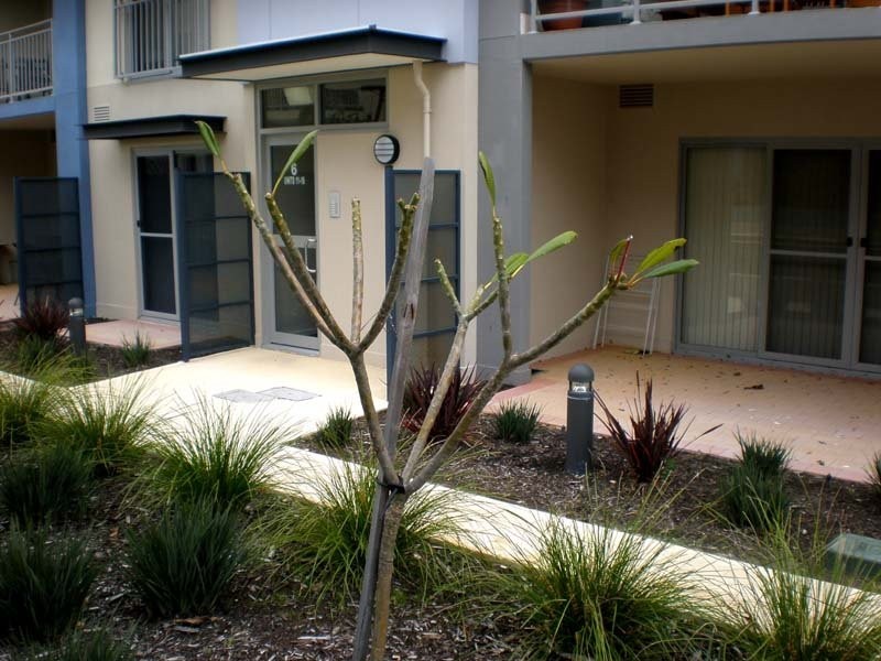 12/6 Ibera Way, Success WA 6164