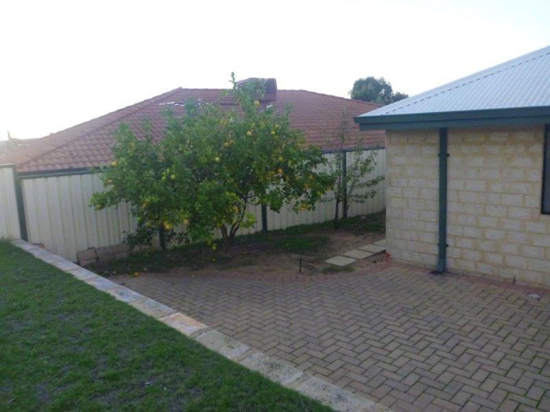 52 Congdon Avenue, Beeliar WA 6164
