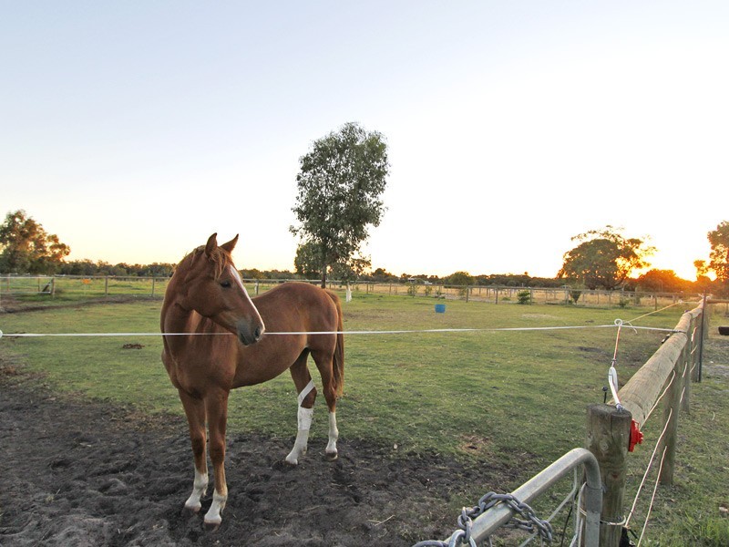 74 Coffey Road, Banjup WA 6164