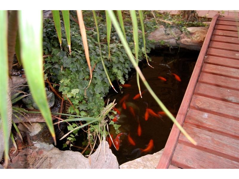 321 Yangebup Road, Yangebup WA 6164