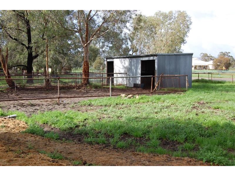 167 Albert Road, Middle Swan WA 6056