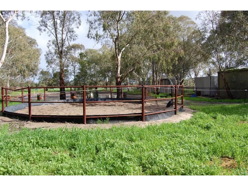 167 Albert Road, Middle Swan WA 6056
