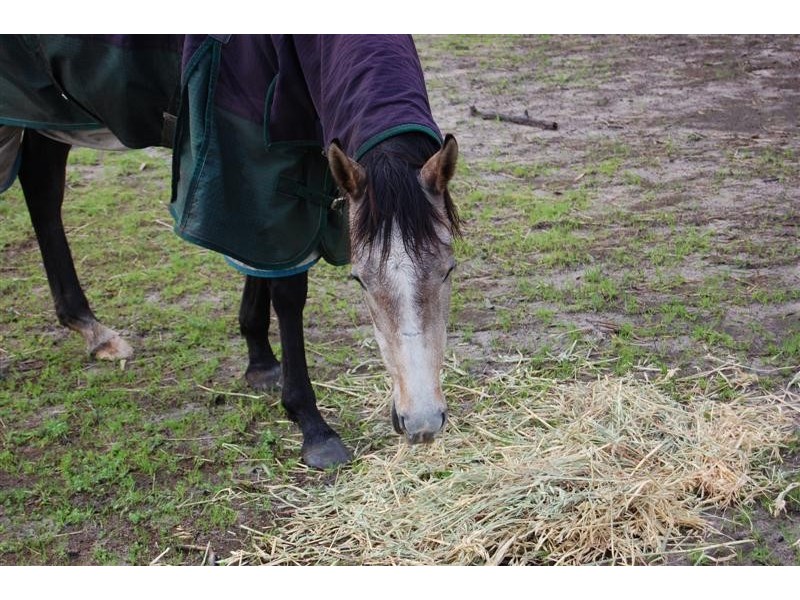 167 Albert Road, Middle Swan WA 6056