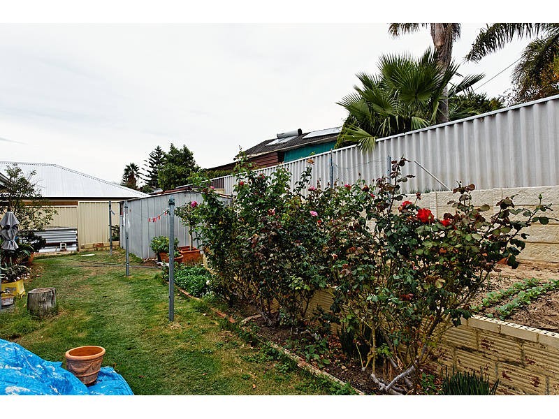 1 Cordelia Avenue, Coolbellup WA 6163