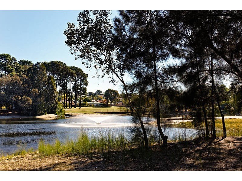 145 Le Souef Drive, Kardinya WA 6163