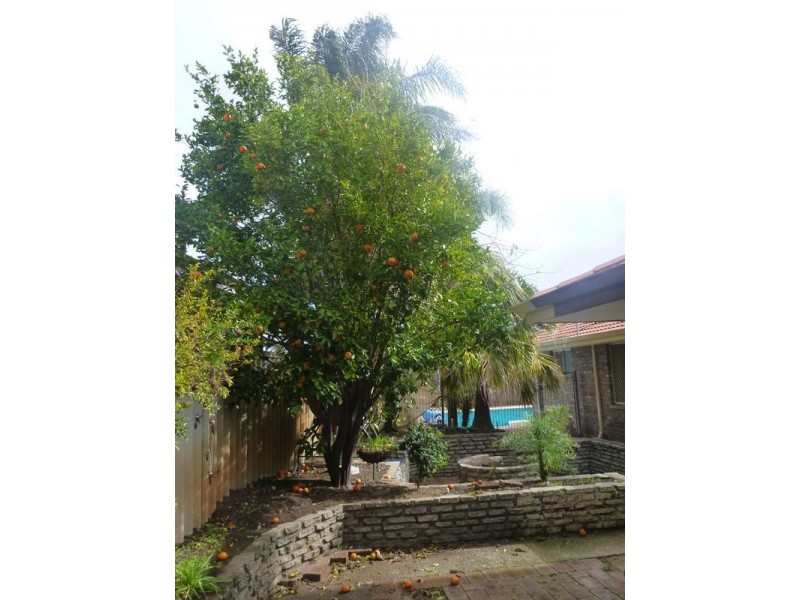 15a Monterey Crt, Kardinya WA 6163