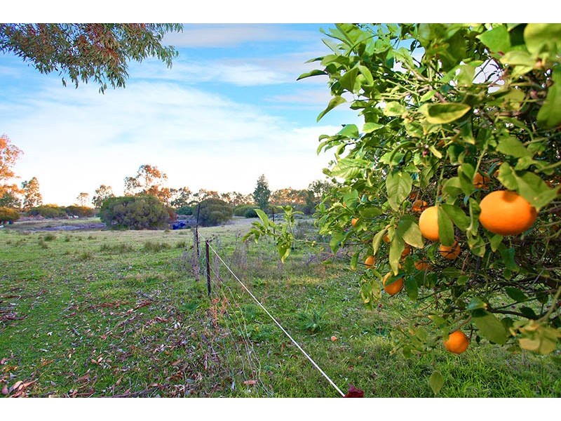 74 Harper Road, Banjup WA 6164