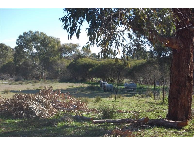 74 Harper Road, Banjup WA 6164