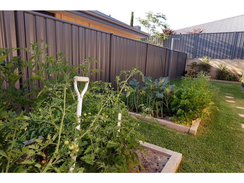 8 Songlark Court, Baldivis WA 6171