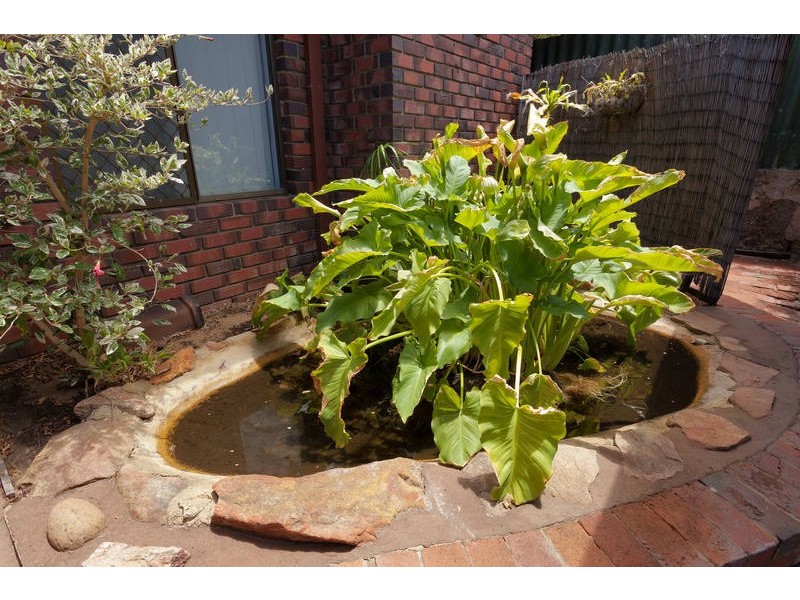 1 Lakeview Place, Bibra Lake WA 6163