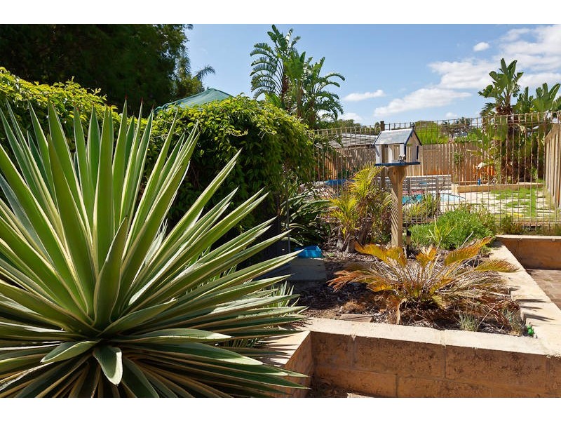 12 Knot Way, Yangebup WA 6164