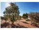 Lot 102, 15 Bodeman Road, Wandi WA 6167