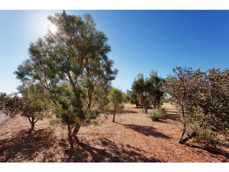 Lot 102, 15 Bodeman Road, Wandi WA 6167