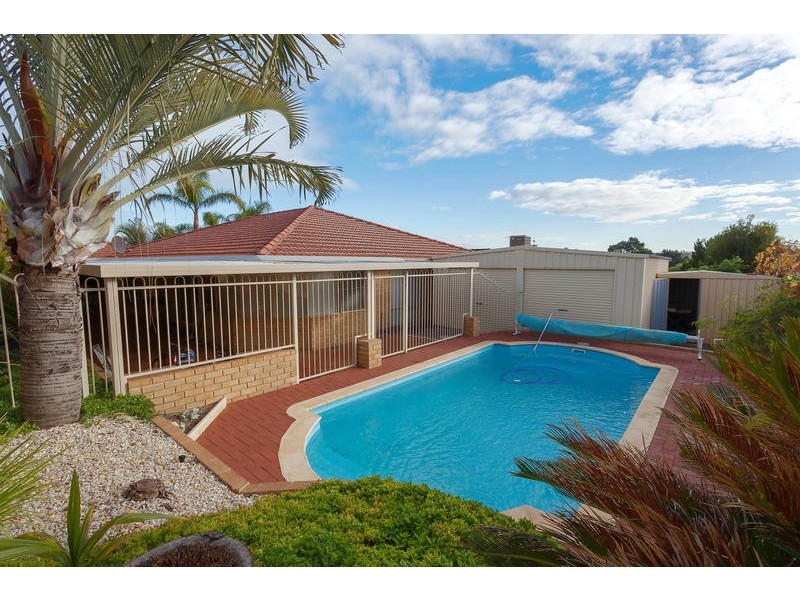 19 Strelitz View, Beeliar WA 6164