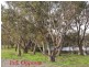 5 Sandpiper Loop, Yangebup WA 6164