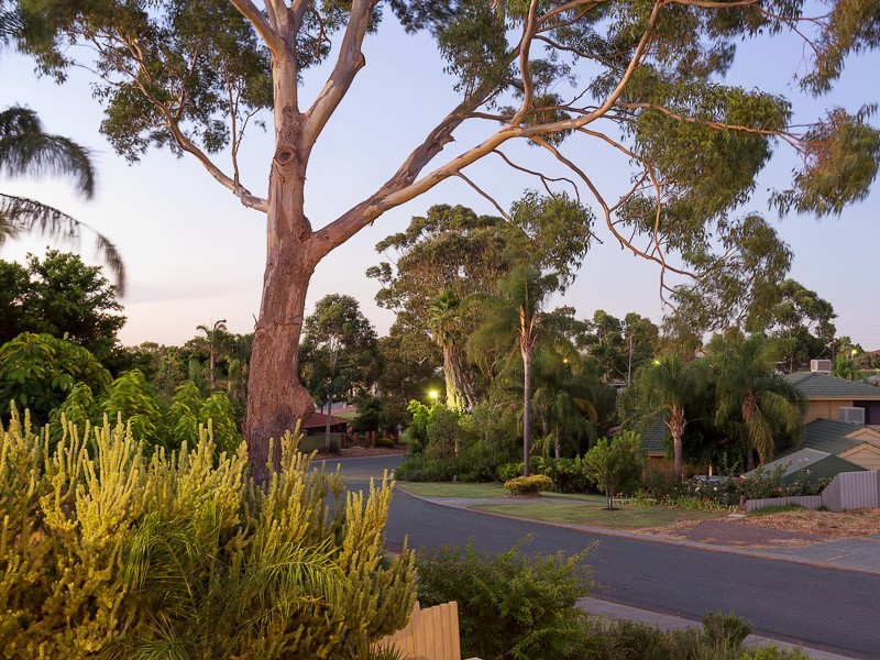 9 Marchant Drive, Bibra Lake WA 6163