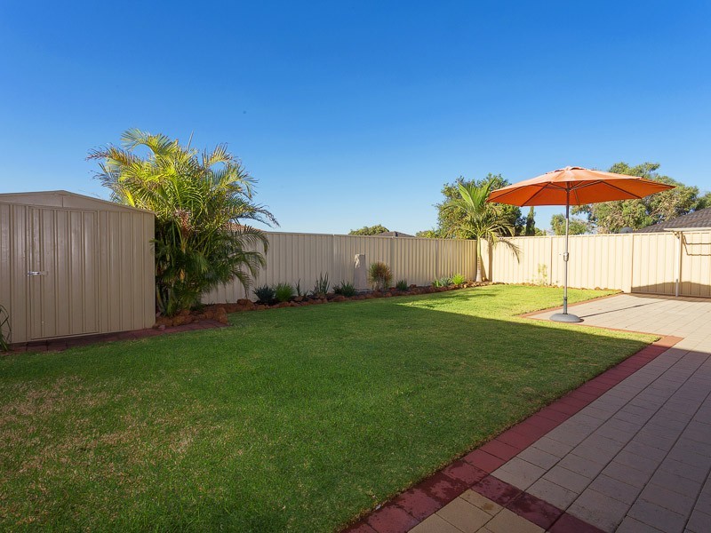 17 Ranunculus Court, Beeliar WA 6164
