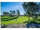 31 Camden Boulevard, Aubin Grove WA 6164