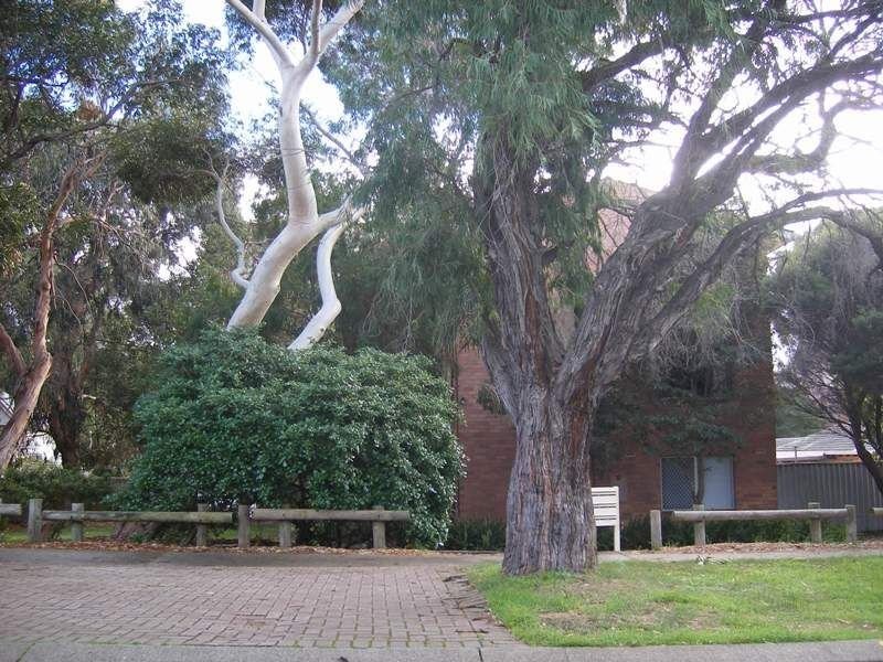 2/13 Fairlight Street, Mosman Park WA 6012