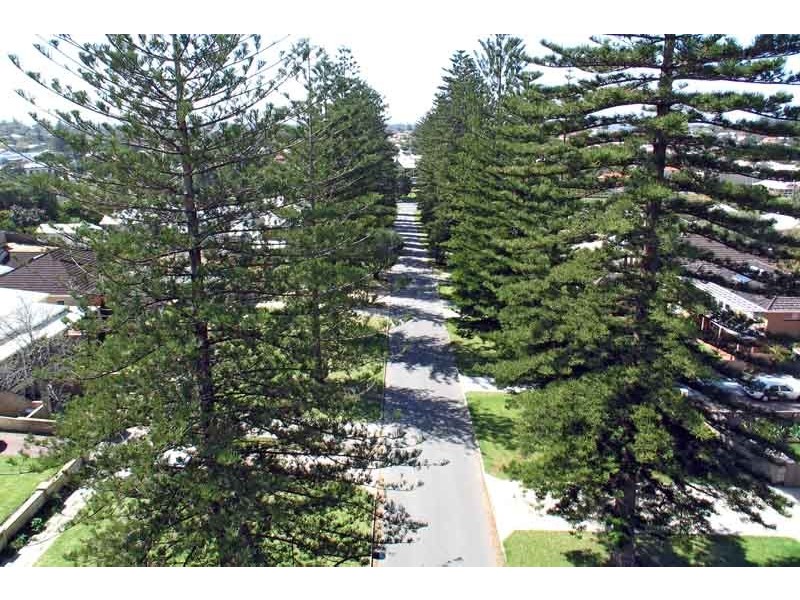 36 Pearse Street, Cottesloe WA 6011