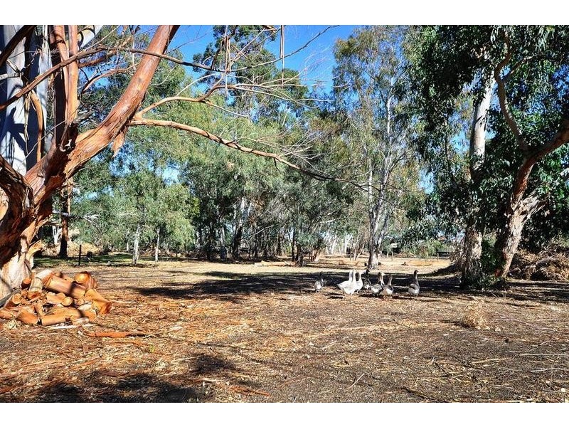 115 Robert Street, Henley Brook WA 6055